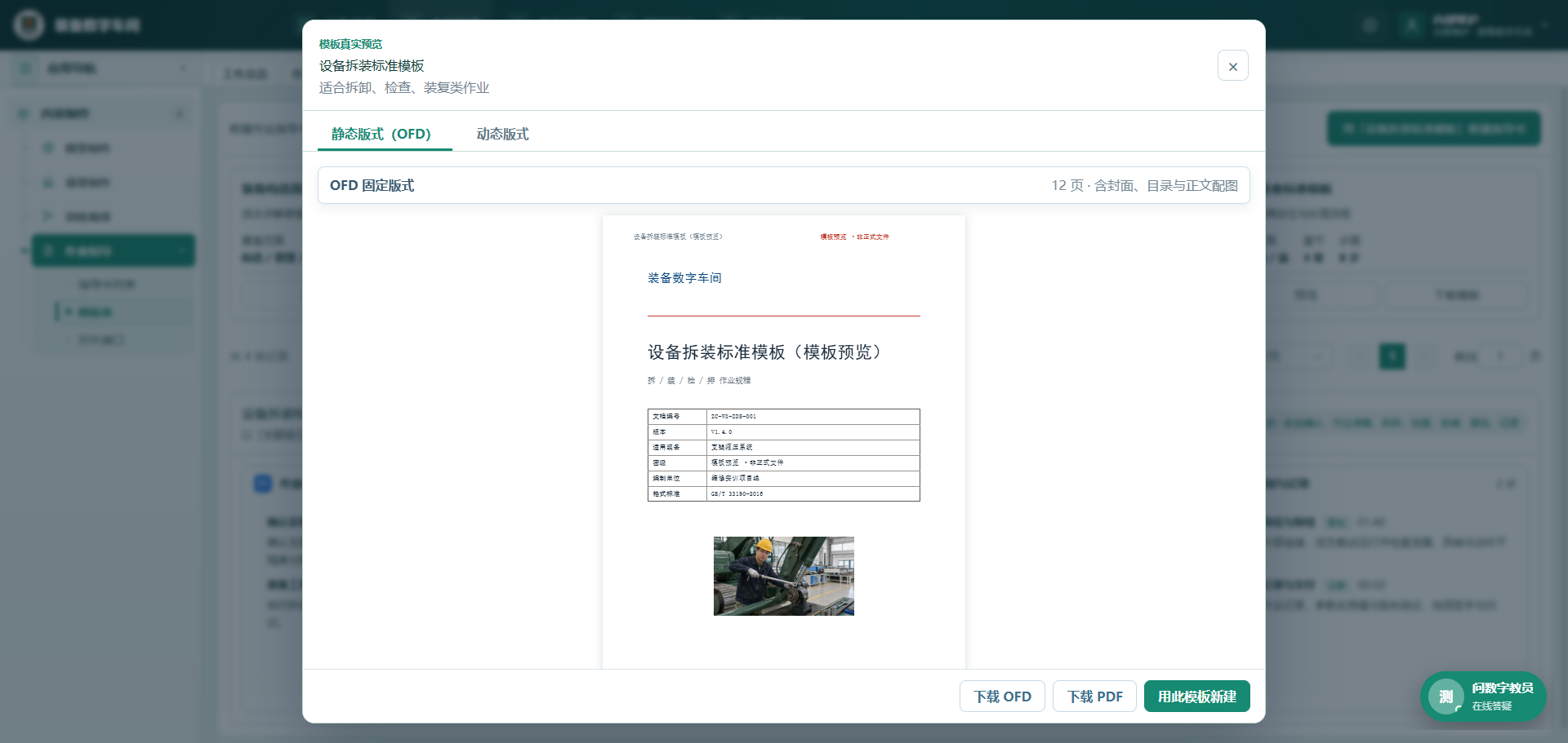 模板预览